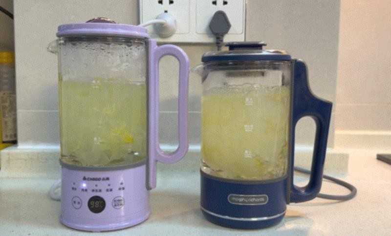 养生壶哪个牌子质量好（玻璃养生壶十大排名）(29)