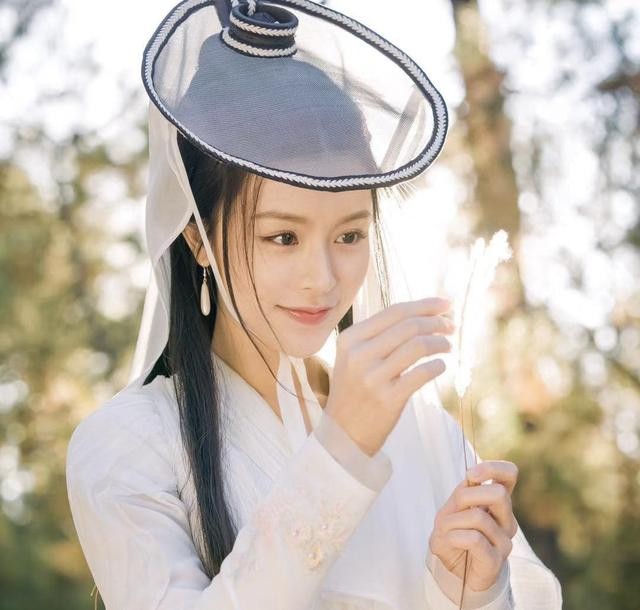 王语嫣演员个人简历(5位演王语嫣的女星)(2)