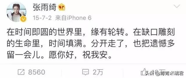 张雨绮和汪小菲谁先动的手(掌掴汪小菲脚踹王全安)(8)