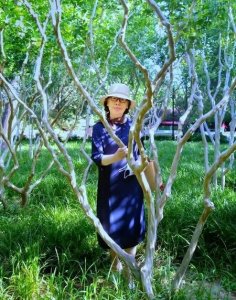 ​什么颜色的裙子好看(什么颜色的裙子最有气质)