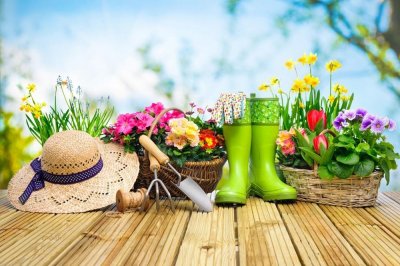 ​烂根黄叶不长个？姐姐告诉我这法子，叶子贼绿根又壮！