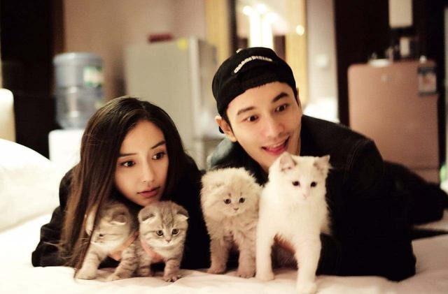 郑恺个人资料介绍（细数夜店小王子郑恺的情史）