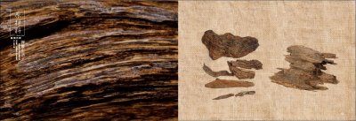 ​什么是沉香出自哪里（沉香有什么作用）