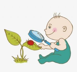 ​好奇心会害死猫的意思(有一句话叫好奇害死什么)