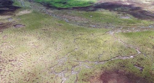 2000年7月21日到今天多少天(2000年7月22日发生了什么)-第1张图片-