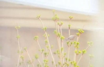 ​新生儿好多湿疹如何办