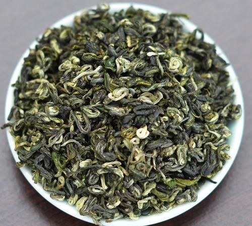 崂山碧螺春属于什么茶