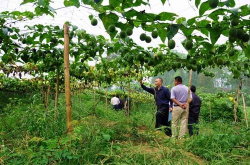 女生小成本创业做什么好：女孩子创业做什么好?适合女性小本创业项目推荐