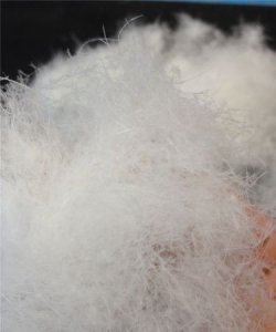 ​90白鸭绒充绒量是多少，90%白鸭绒，充绒量210g羽绒服在东北可以过冬了吗?里