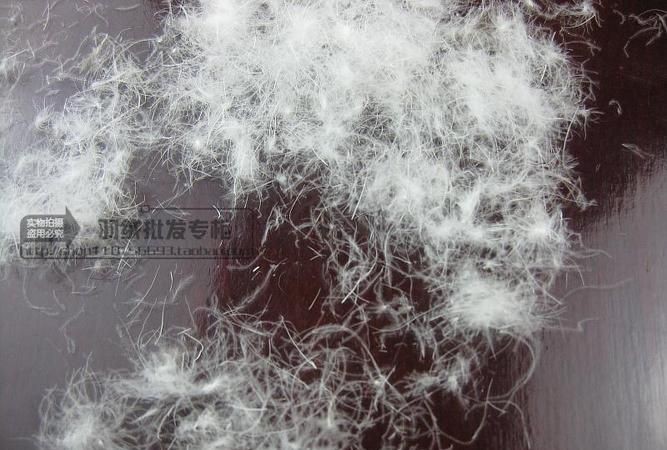 买了一件薄款羽绒服，写着，填充物90%白鸭绒10%羽毛充绒量153克含绒量高吗