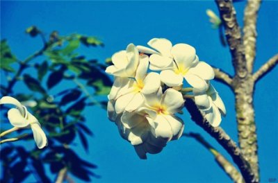 ​生活感悟经典句子精辟（感悟生活的经典句子，精辟！）