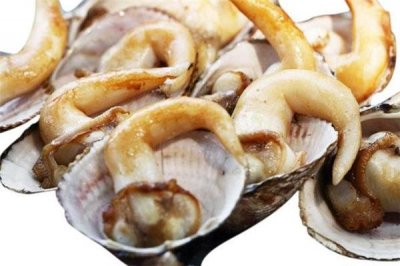 ​鸟贝可以生吃吗 鸟贝肉的吃法