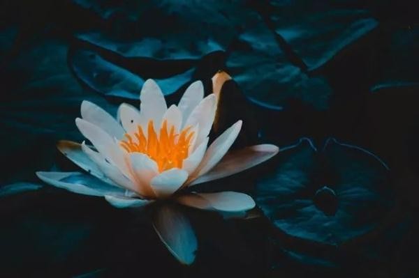 骄阳是什么季节（知识科普骄阳所指的时节）