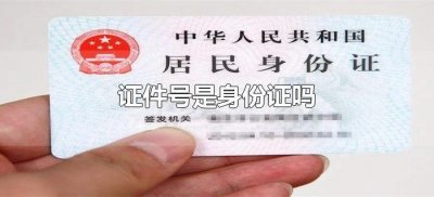 ​证件号是身份证吗（证件号是不是身份证号）