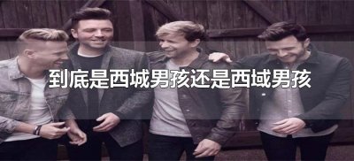 ​到底是西城男孩还是西域男孩（西城男孩和西域男孩是同一个组合吗）