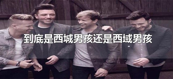 到底是西城男孩还是西域男孩