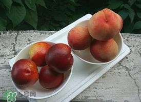 毛桃怎么保存？毛桃可以放冰箱？