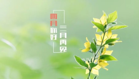 四月你好唯美句子简短,四月寄语简短一句话图3
