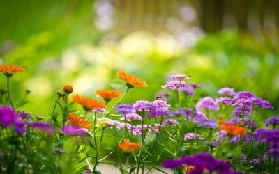 ​高贵公主范的个性签名，个性签名霸气超拽有范女生