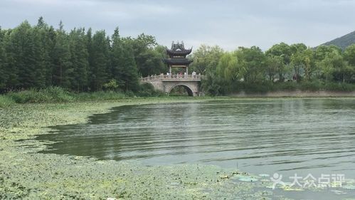 5、精品线路：苏州大观公园周边的太湖明珠（苏州大观公园）、无锡大观公园（无锡大观公园）、苏州工业园区星河大道西段（苏州工业园区星河大道西）、黄浦江之星酒店（上海黄浦江外滩金融中心）、上海外滩城市地标（上海外滩金融中心）、黄浦江两岸夜景（黄浦江两岸）。