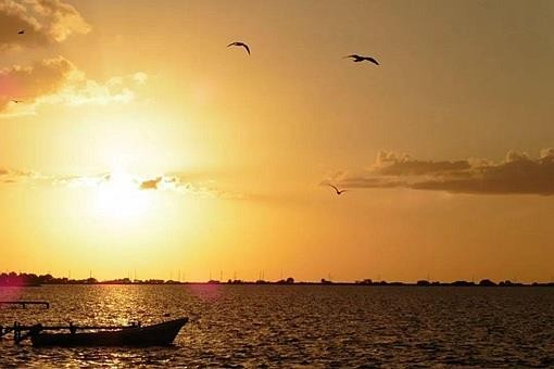 老不泄残精，少不食壮火是什么意思？