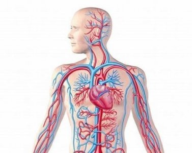 ​如何预防脑出血复发