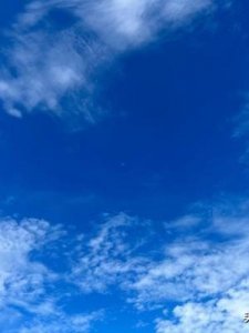 ​两个鱼念什么(犇骉鱻羴麤飝龘怎么读)