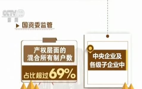 人口普查混合户什么意思