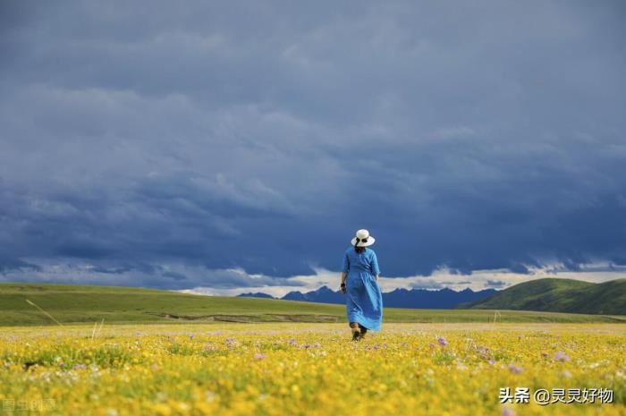 挽回情人心的方法（挽回爱情的方法有哪些）