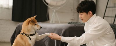 ​陈立农有多少粉丝