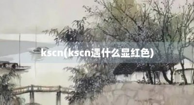 ​kscn(kscn遇什么显红色)