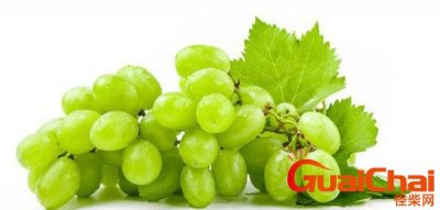 ​提子的功效与作用有哪些？提子有哪些功效与作用？