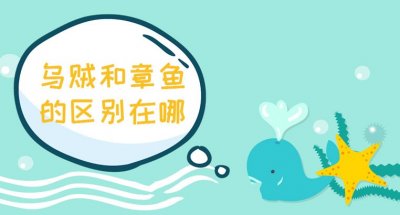 ​乌贼和章鱼有什么区别？乌贼和章鱼哪个好吃？