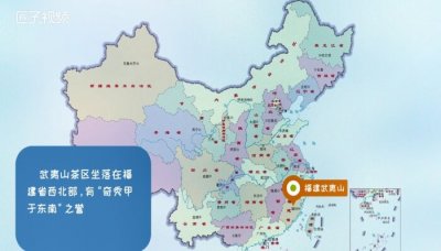 ​岩茶属于什么茶