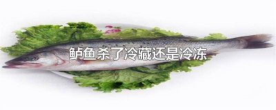 ​鲈鱼冷冻后还好吃吗 鲈鱼放冷藏还是冷冻