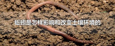 ​蚯蚓是怎样影响和改变土壤环境的
