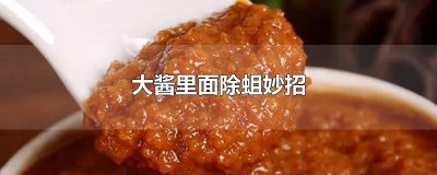 ​大酱里面除蛆妙招