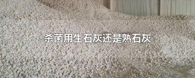 ​杀菌用生石灰还是熟石灰