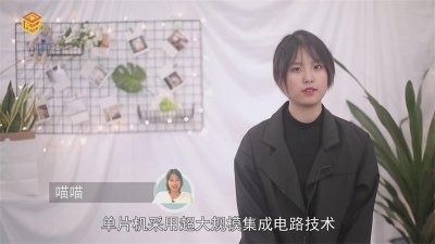 ​单片机原理及应用是什么