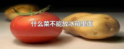 ​哪些蔬菜不能放冰箱里 什么菜不能放入冰箱