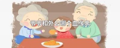 ​爷爷和外公哪个血缘亲
