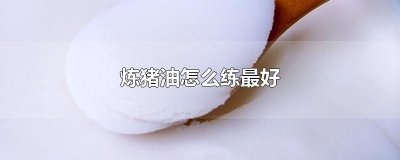 ​炼猪油怎么练最好