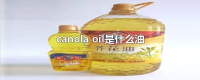 ​canola oil是什么油,能吃吗 canola oil可以炒菜吗