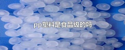 ​pe1是塑料食品级吗 食品级pe有塑化剂吗