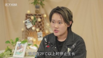 ​茶花为何叫断头花