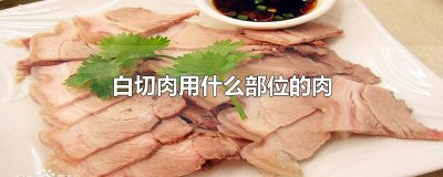 ​白切肉用什么部位的肉