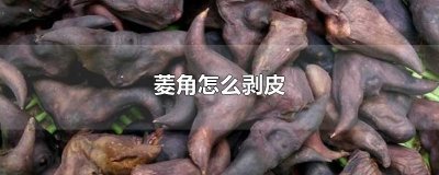​菱角怎么剥皮