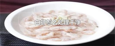 ​白虾怎么处理干净