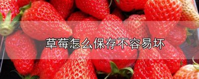 ​草莓怎么保存不容易坏