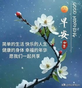 ​让快乐不退休 让幸福不衰老！日安图片 下午好问候图片 午安暖心图片